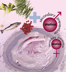 Lipid Lowering Therapy